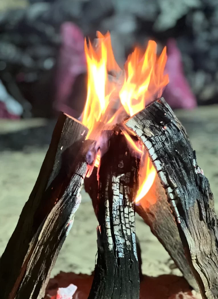 Al Diwan - Firewood (2)